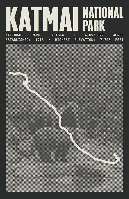 Katmai National Park Poster