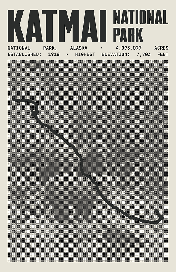 Katmai National Park Poster