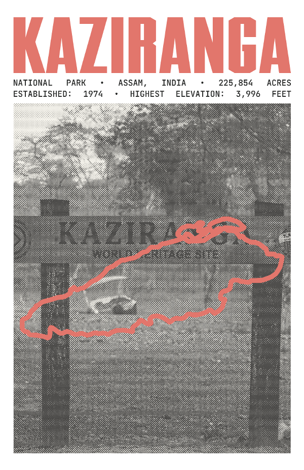 Kaziranga National Park Poster