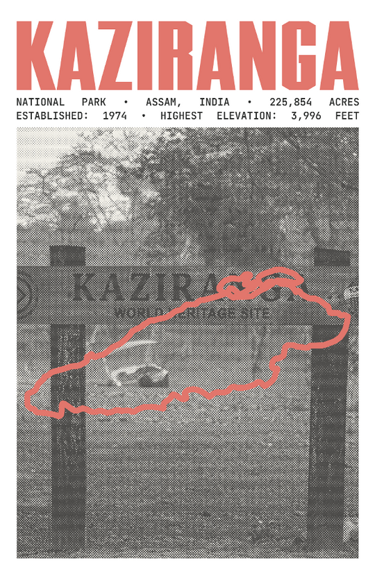 Kaziranga National Park Poster