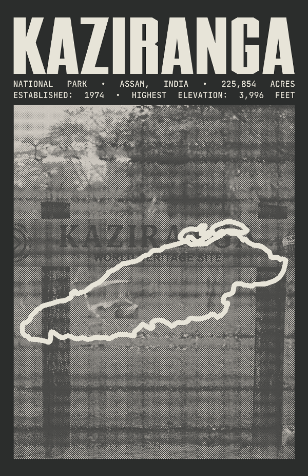 Kaziranga National Park Poster