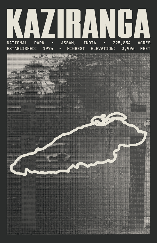 Kaziranga National Park Poster