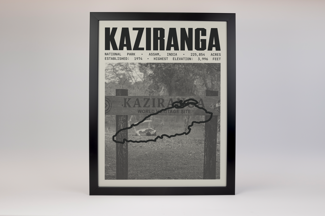 Kaziranga National Park Poster