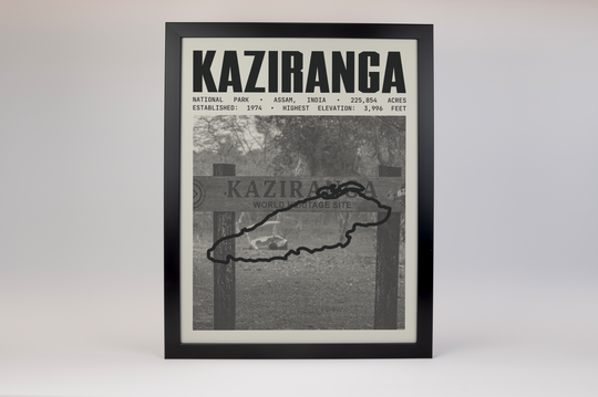 Kaziranga National Park Poster
