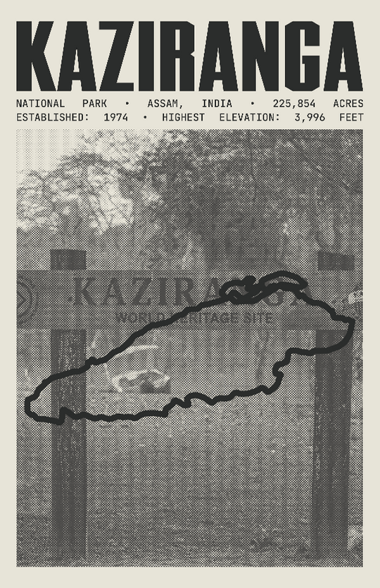 Kaziranga National Park Poster