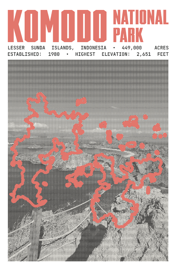 Komodo National Park Poster