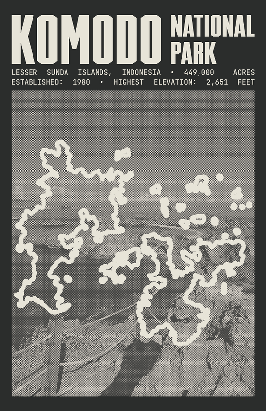Komodo National Park Poster