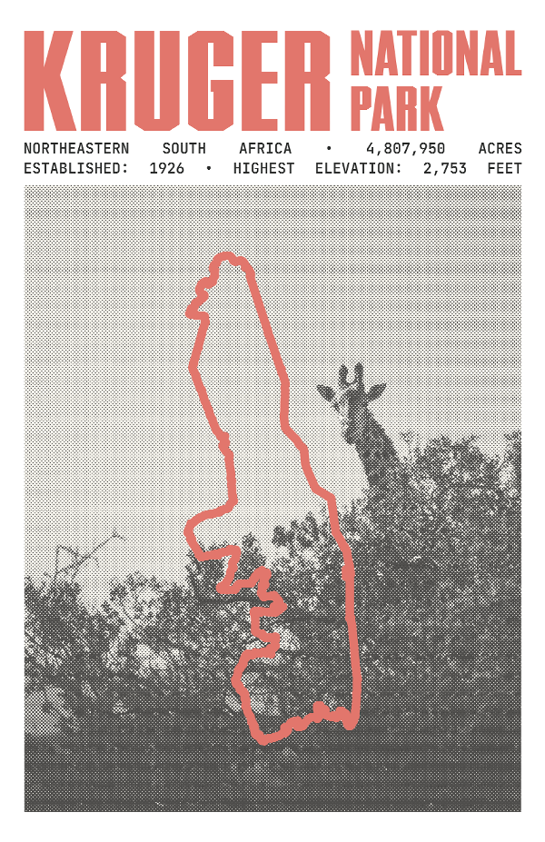 Kruger National Park Poster