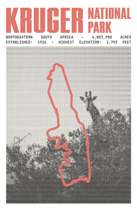 Kruger National Park Poster