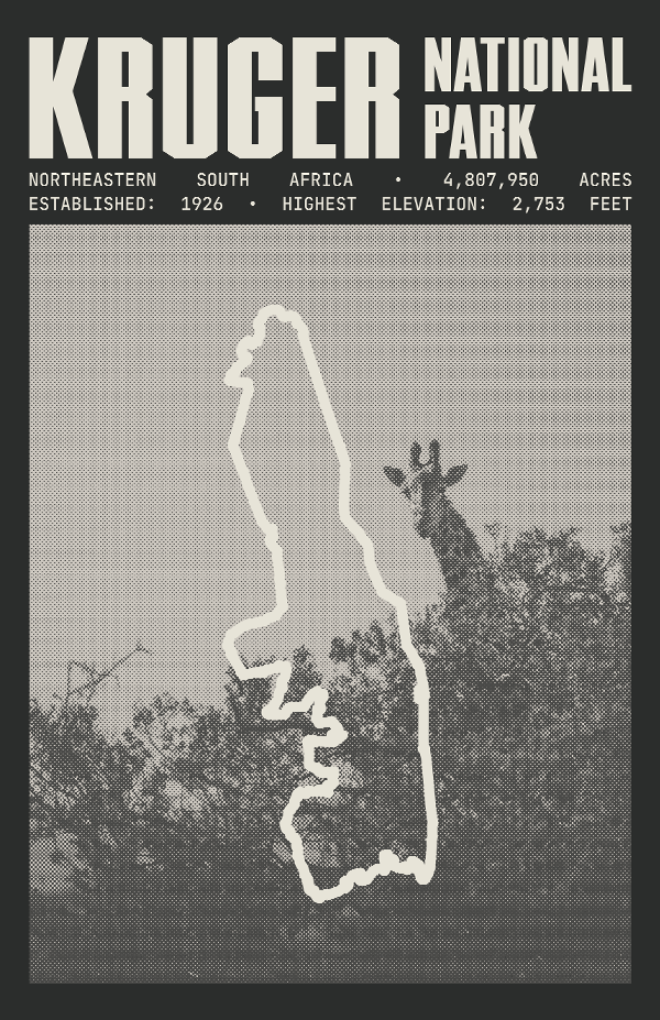 Kruger National Park Poster