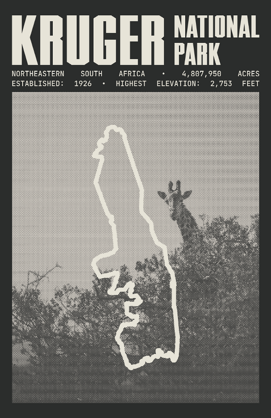 Kruger National Park Poster