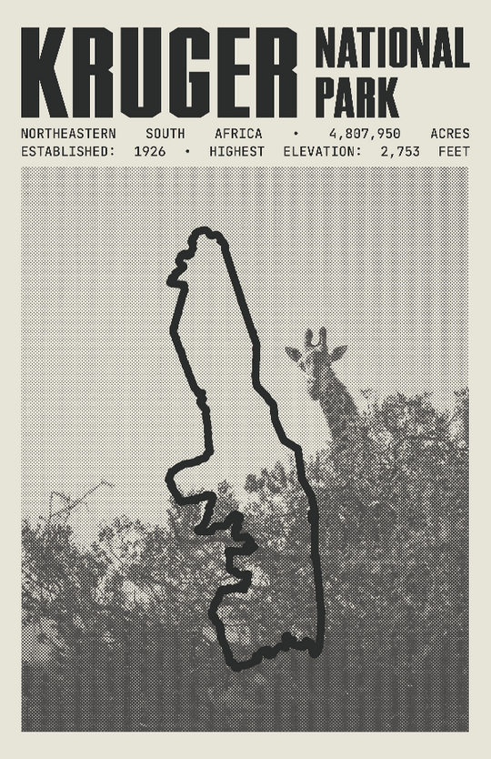 Kruger National Park Poster
