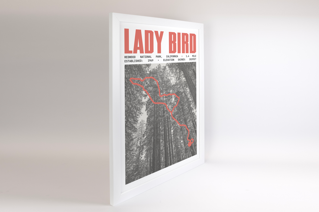 Lady Bird Johnson Grove Trail Poster | Redwood National Park Prints