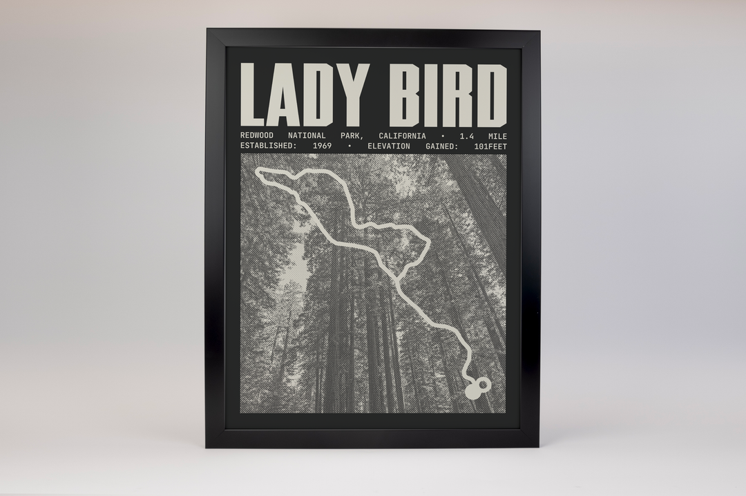 Lady Bird Johnson Grove Trail Poster | Redwood National Park Prints