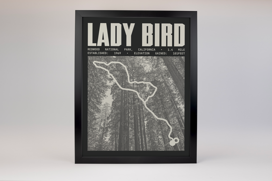 Lady Bird Johnson Grove Trail Poster | Redwood National Park Prints