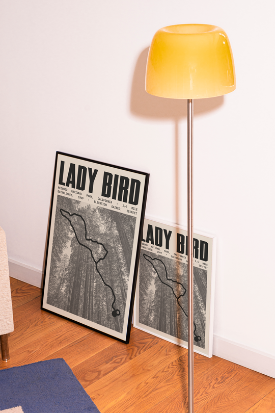 Lady Bird Johnson Grove Trail Poster | Redwood National Park Prints