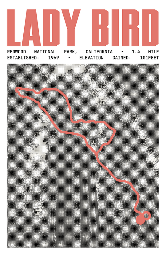 Lady Bird Johnson Grove Trail Poster | Redwood National Park Prints