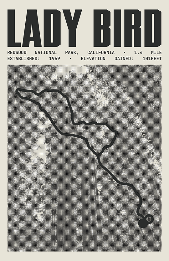 Lady Bird Johnson Grove Trail Poster | Redwood National Park Prints