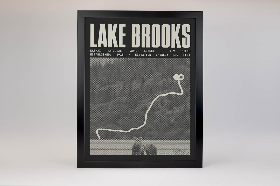 Lake Brooks Road Poster | Katmai National Park Prints