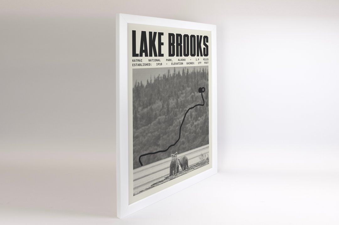 Lake Brooks Road Poster | Katmai National Park Prints