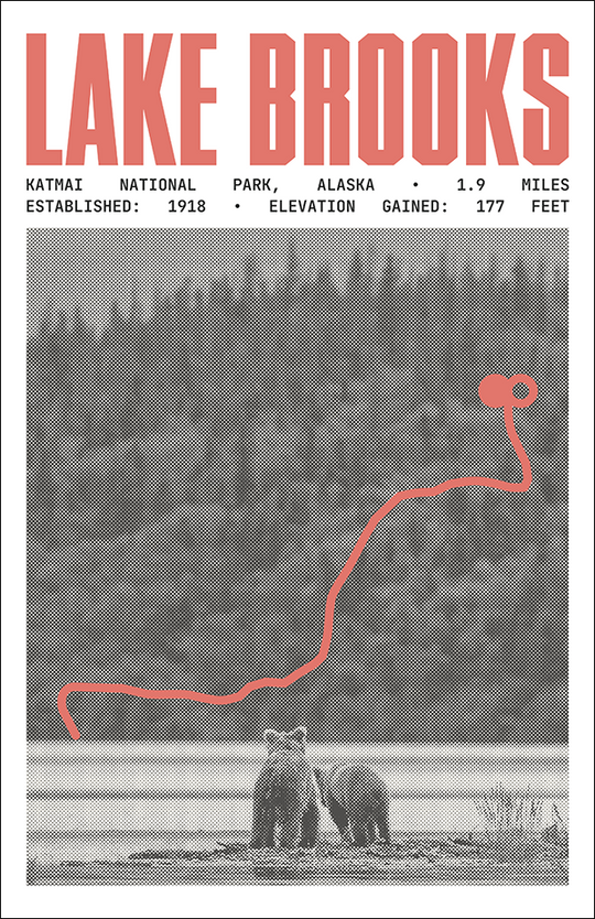 Lake Brooks Road Poster | Katmai National Park Prints