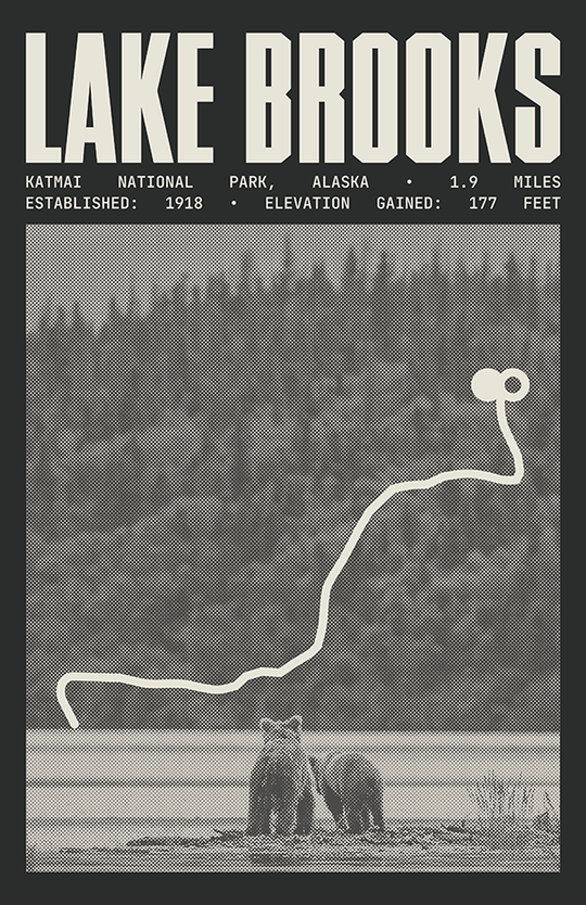 Lake Brooks Road Poster | Katmai National Park Prints