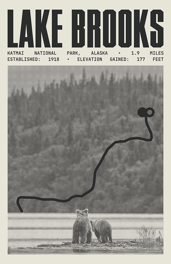 Lake Brooks Road Poster | Katmai National Park Prints