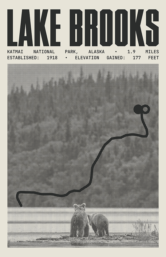 Lake Brooks Road Poster | Katmai National Park Prints