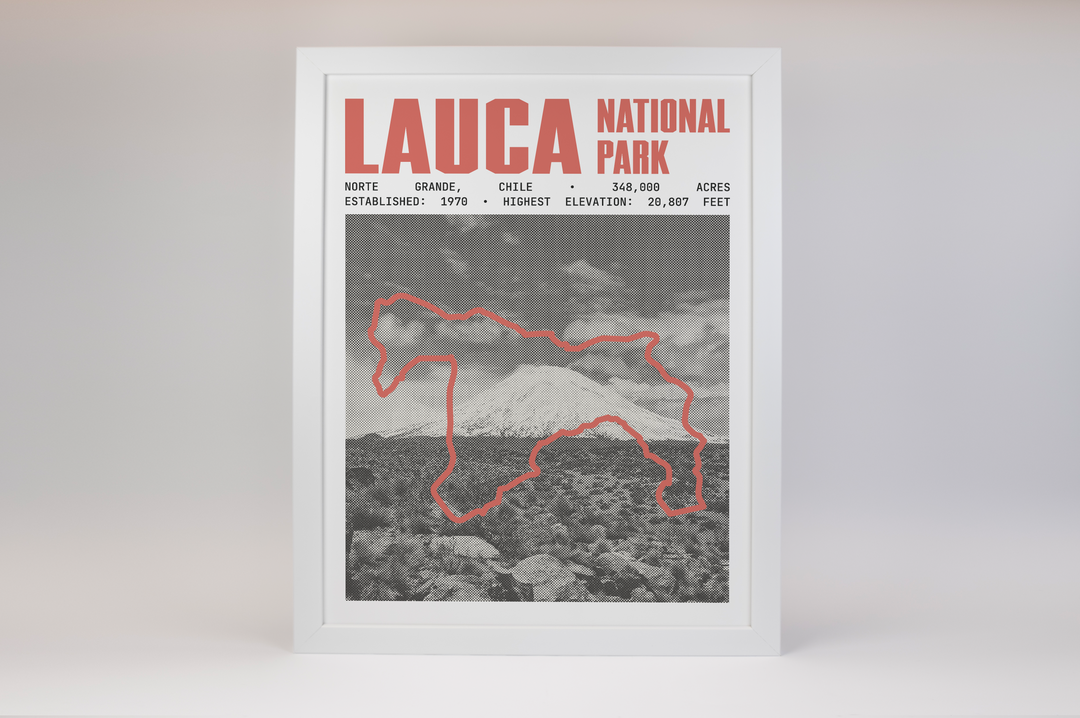 Lauca National Park Poster