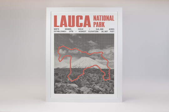 Lauca National Park Poster