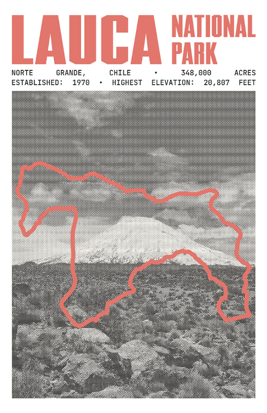 Lauca National Park Poster