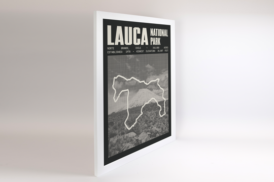 Lauca National Park Poster