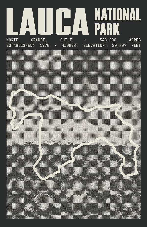 Lauca National Park Poster