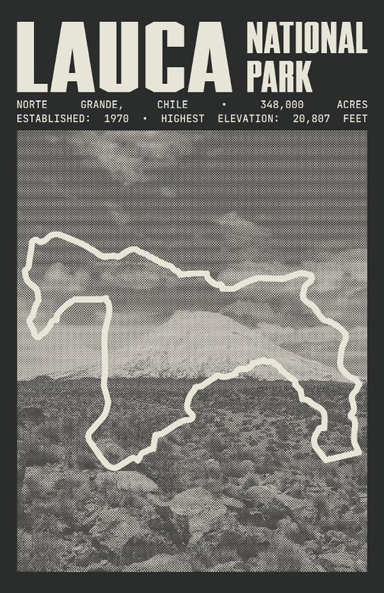 Lauca National Park Poster