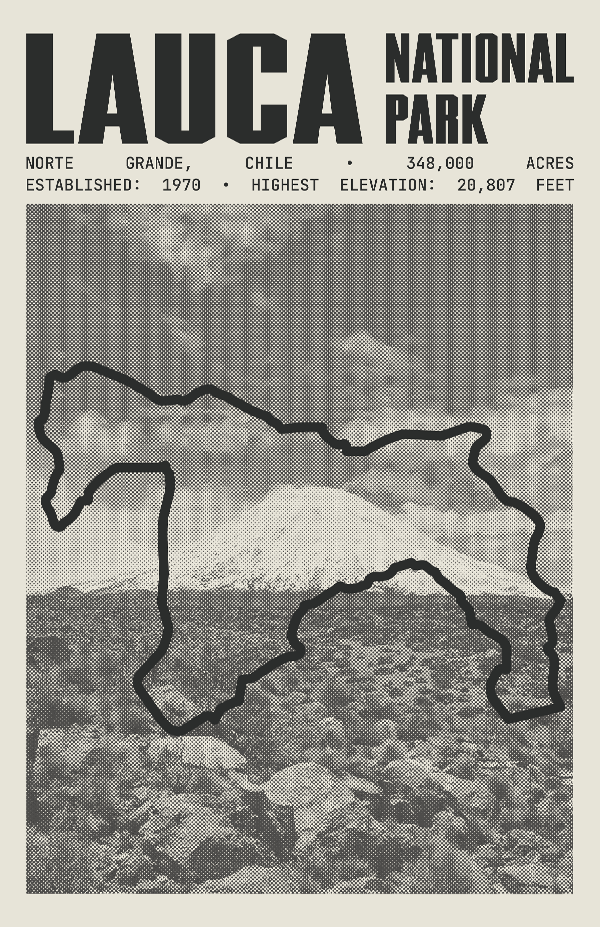 Lauca National Park Poster