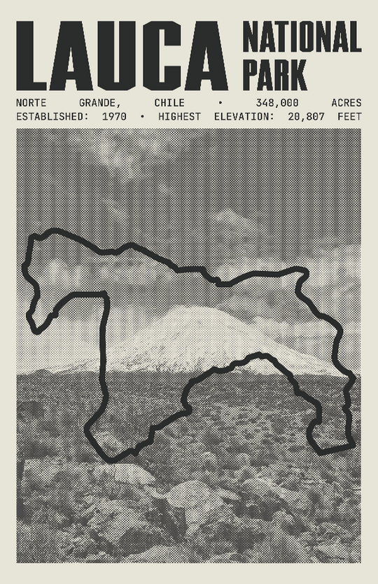 Lauca National Park Poster
