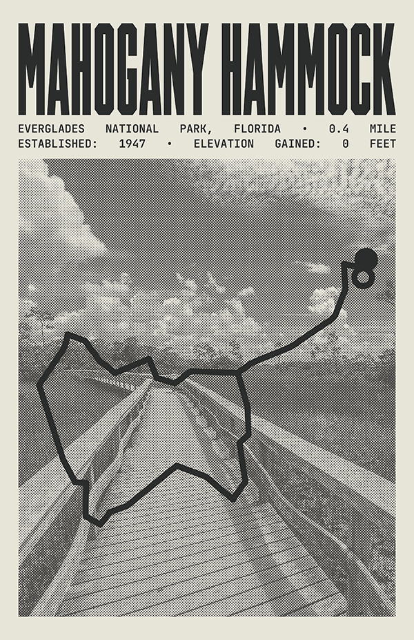 Mahogany Hammock Trail Poster | Everglades National Park Prints