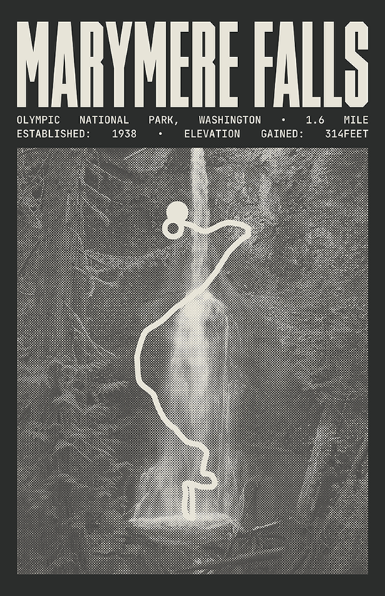 Marymere Falls Trail Poster | Olympic National Park Prints
