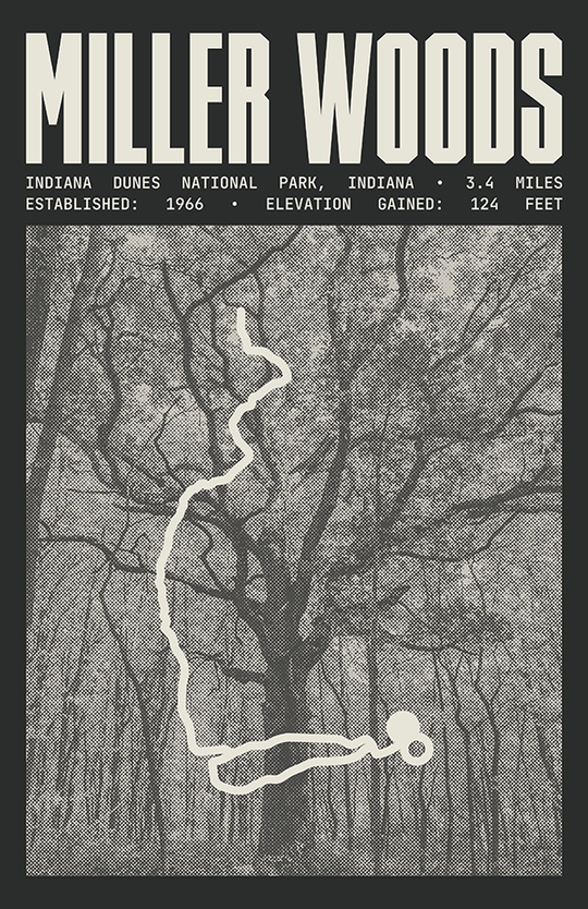 Miller Woods Trail Poster | Indiana Dunes National Park Prints