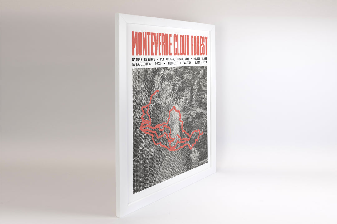 Monteverde Cloud Forest Reserve Poster