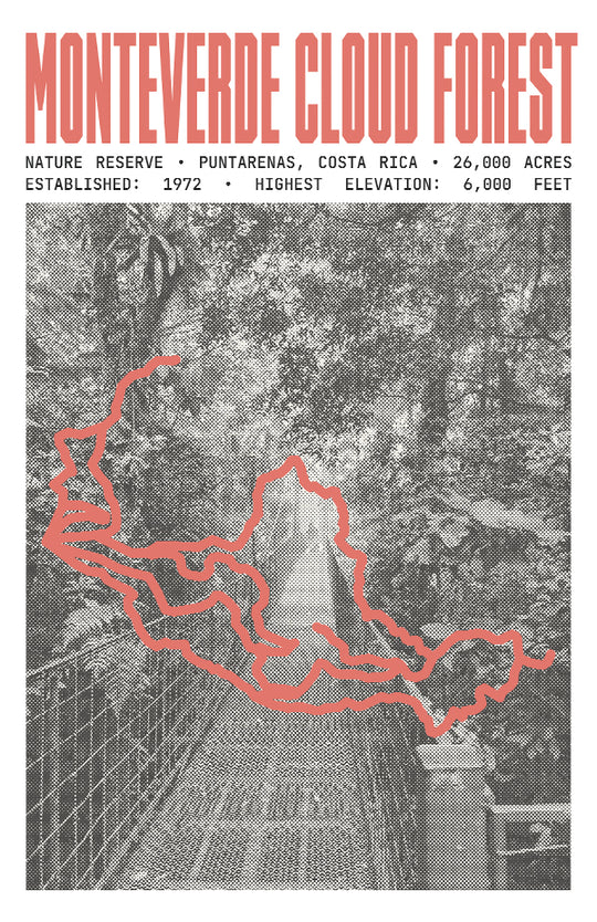 Monteverde Cloud Forest Reserve Poster