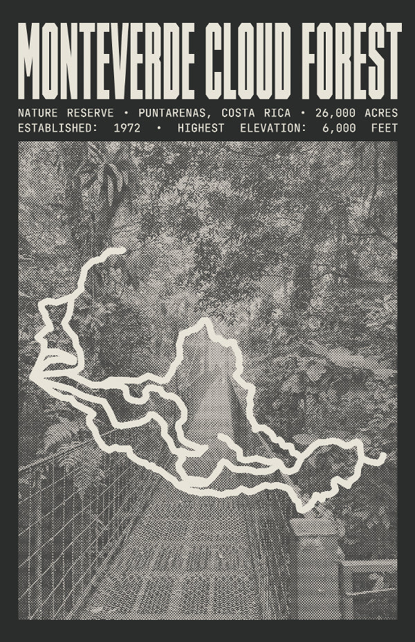 Monteverde Cloud Forest Reserve Poster