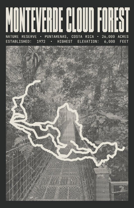 Monteverde Cloud Forest Reserve Poster