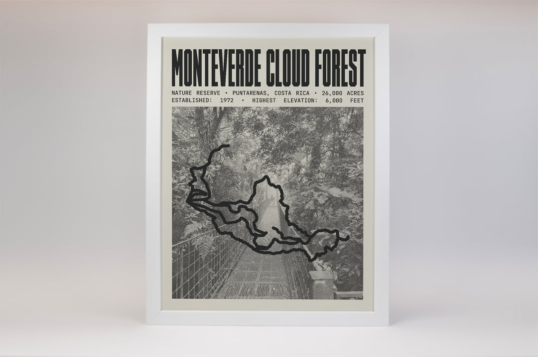 Monteverde Cloud Forest Reserve Poster