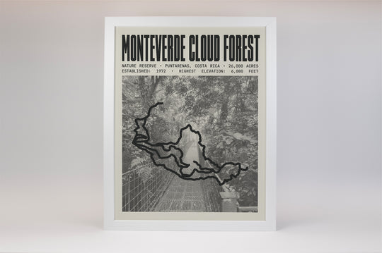 Monteverde Cloud Forest Reserve Poster