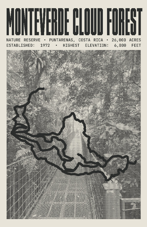 Monteverde Cloud Forest Reserve Poster