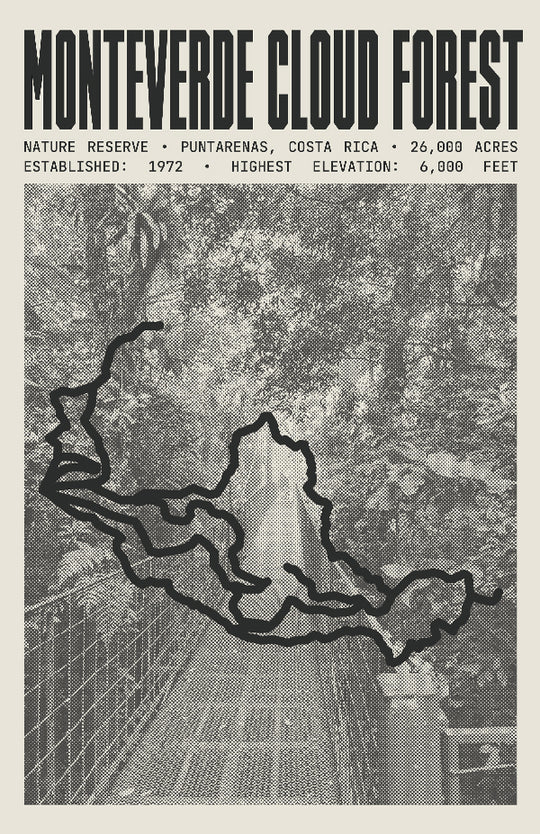Monteverde Cloud Forest Reserve Poster