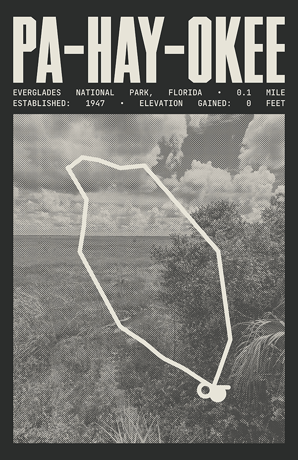 Pa-Hay-Okee Overlook Trail Poster | Everglades National Park Prints