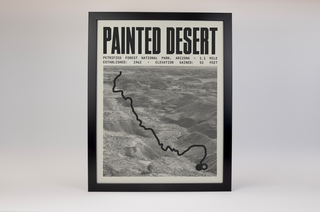 Painted Desert Rim Trail Poster | Petrified Forest National Park Prints