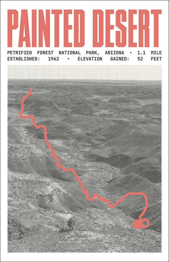 Painted Desert Rim Trail Poster | Petrified Forest National Park Prints